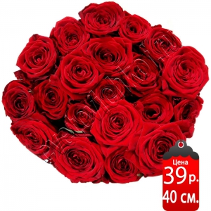 Роза Ред Наоми (Red N) длина 40см-20 шт×38р.
