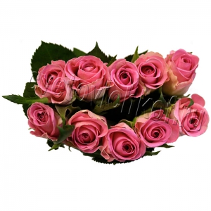 Букет из розовых роз